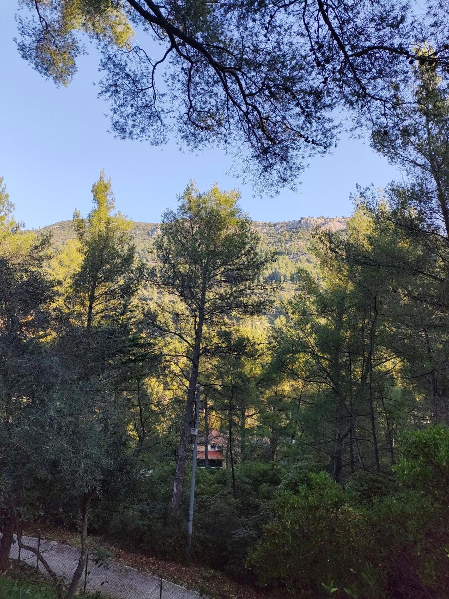 Maisonnette-studio 83200 Toulon